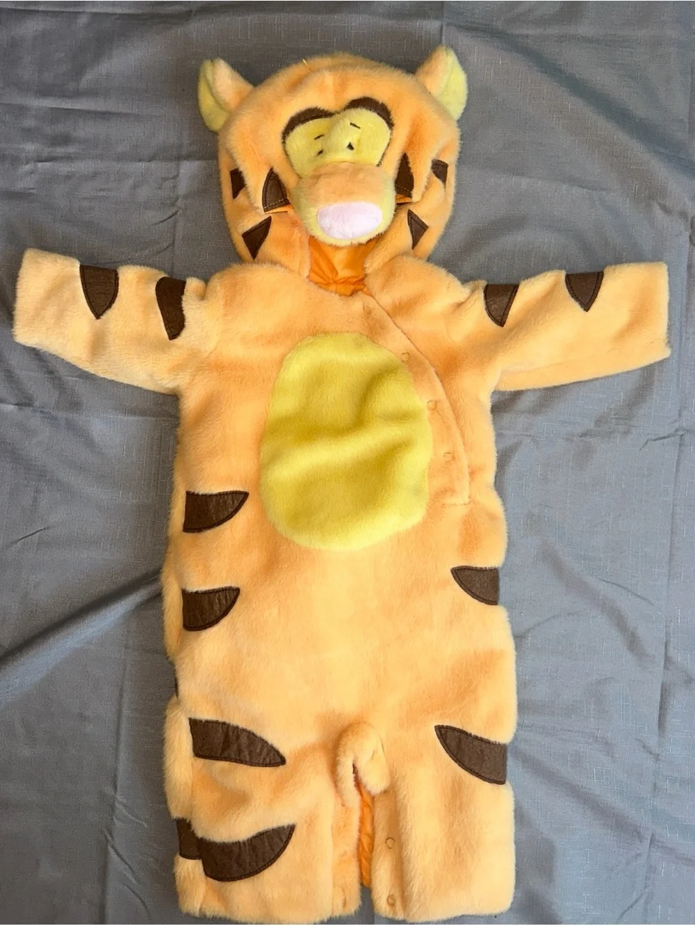 Pottery Barn Kids, Disney Winnie The Pooh, Tigger Baby Halloween Costume - Picture 2 of 4